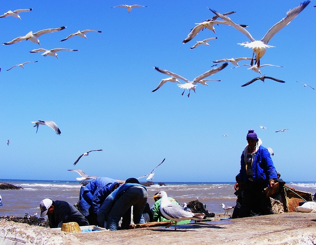 fishing in Essaouira